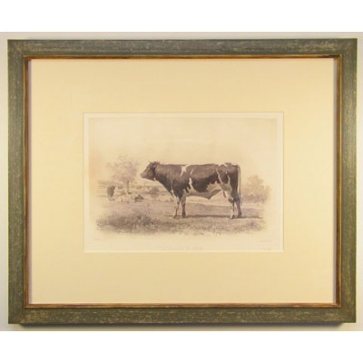 Cow Animals Framed Art 1