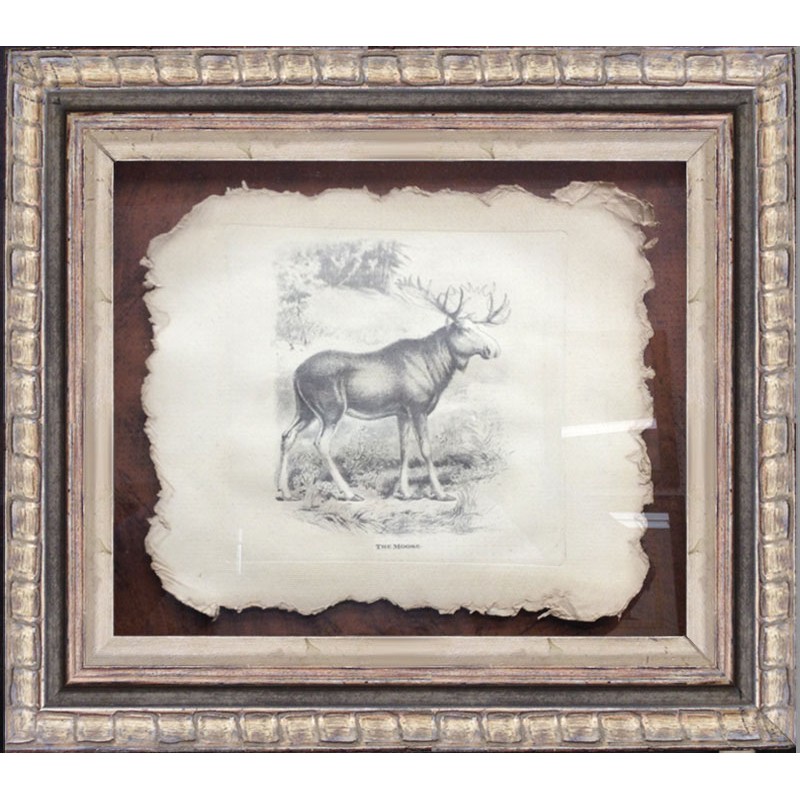 Moose Framed Art 1