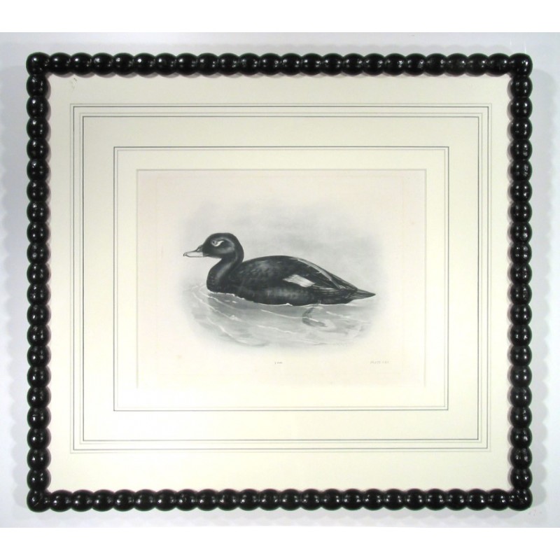 Ducks Framed Art 1