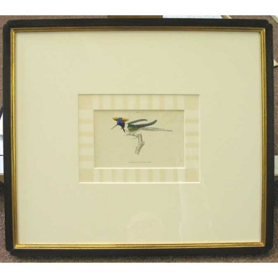 Hummingbirds Framed Art 1