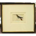 Hummingbirds Framed Art 1