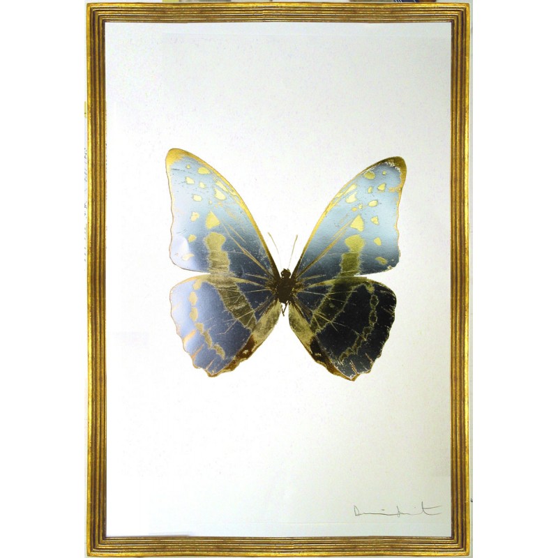 Butterfly Framed Art 2