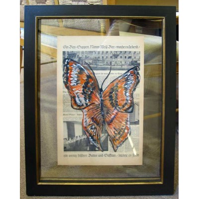 Butterfly Series Framed Art 1