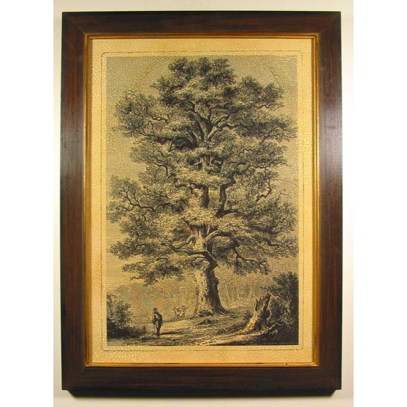 Tree Antique Framed Art 1